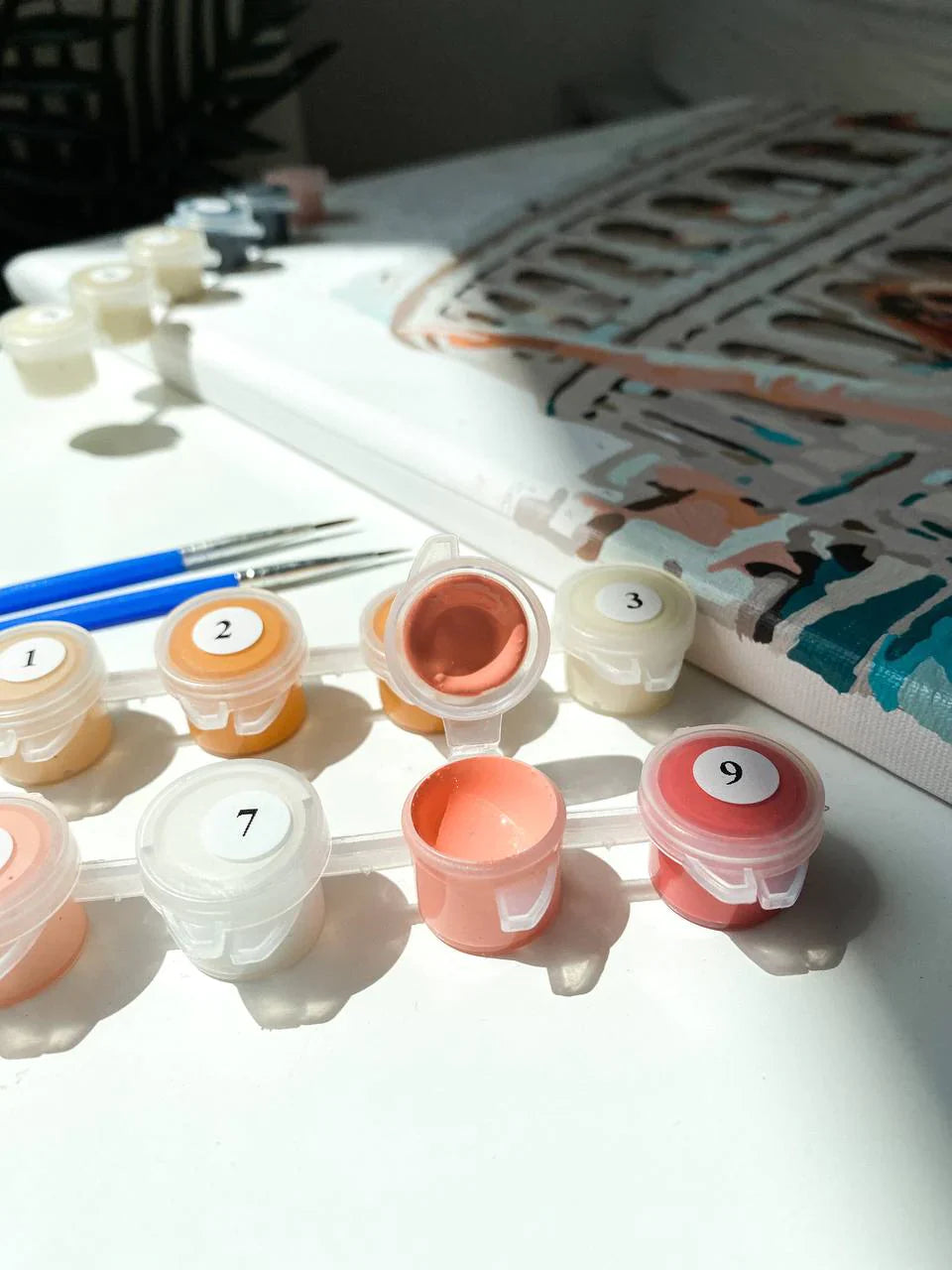 Premium Paint by Numbers “Picturesque Island”