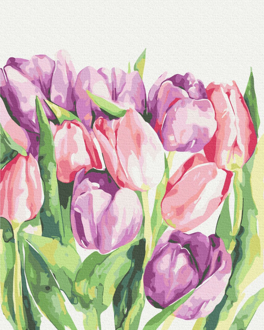 Premium Malen nach Zahlen „Morgendliche Tulpen © Karolina Bundash“
