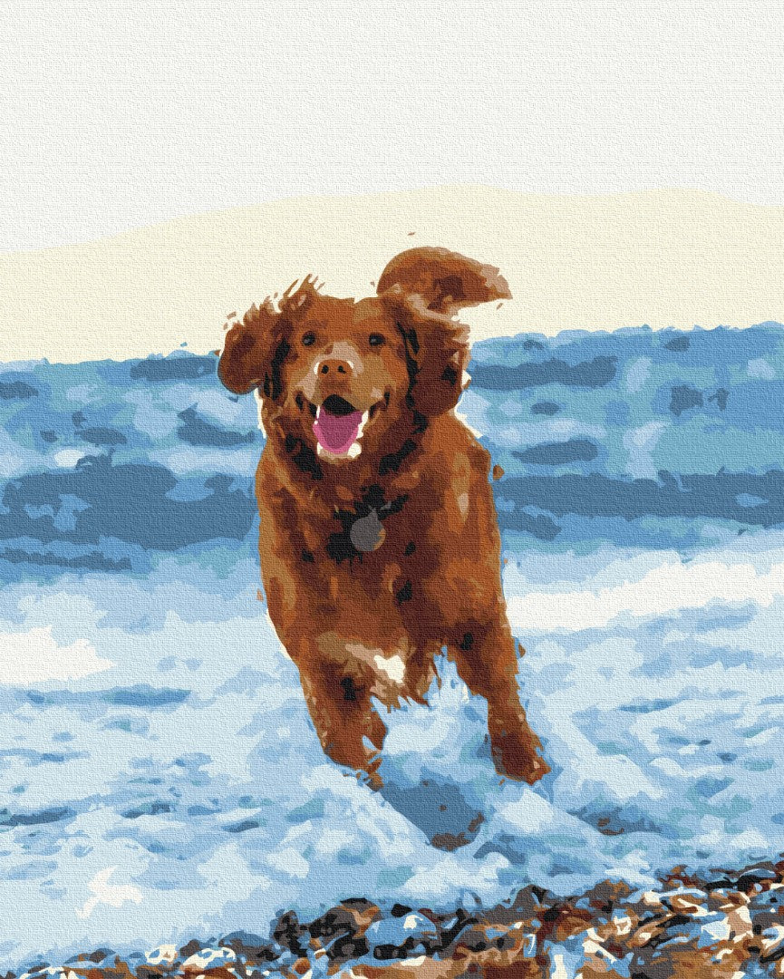 Premium Malen nach Zahlen „Hündchen im Meer“