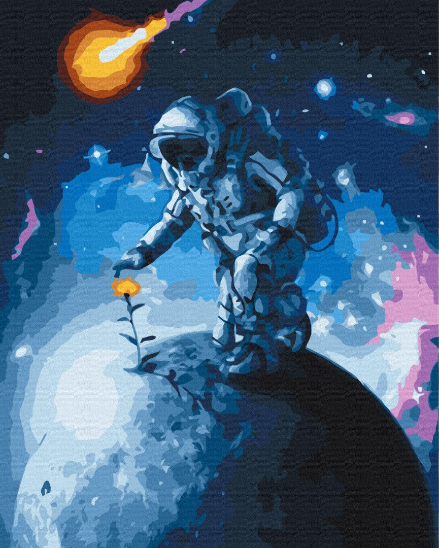 Premium Paint by Numbers “Flowers of the Universe”