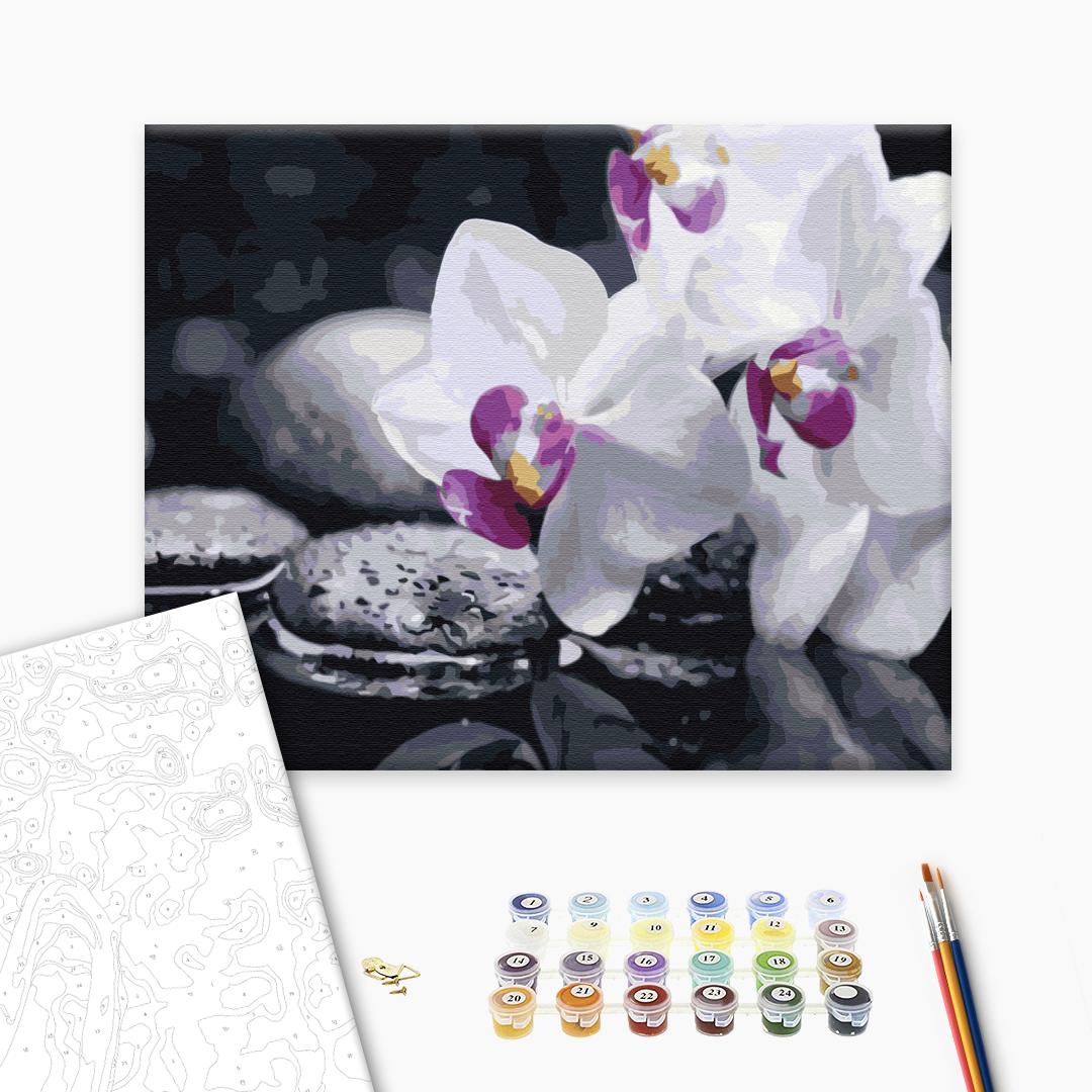 Malen nach Zahlen „Zen-Blumen“