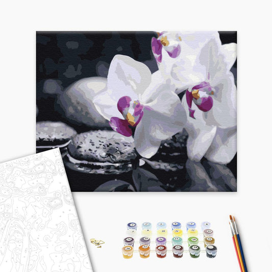 Malen nach Zahlen „Zen-Blumen“